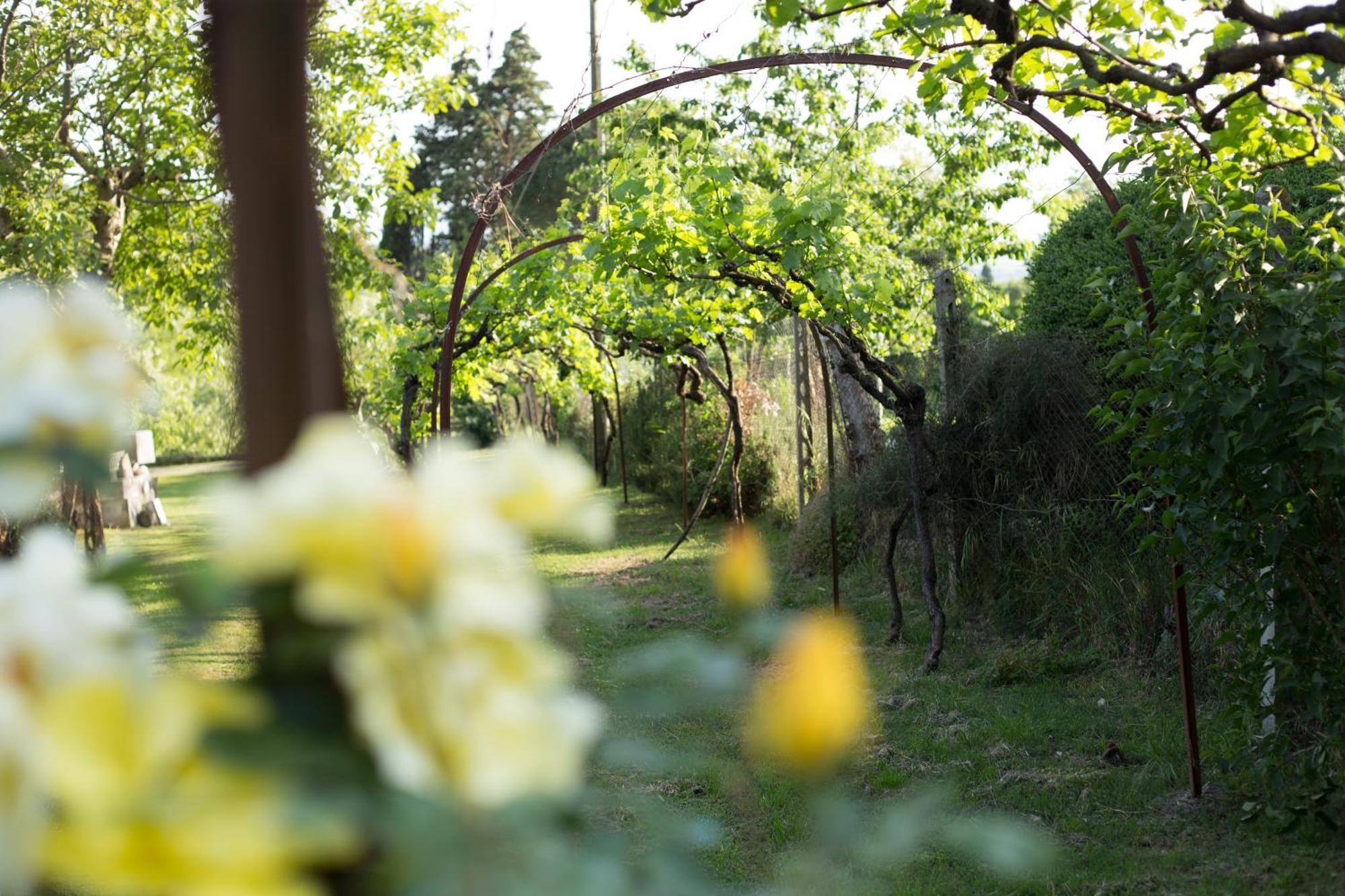 Villa Campo Di Fiore 아레초 외부 사진