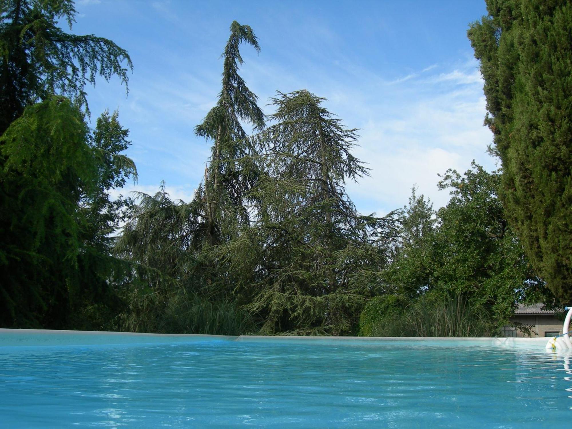 Villa Campo Di Fiore 아레초 외부 사진